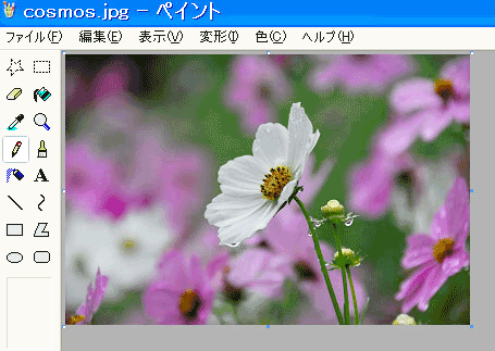写真の縮小の仕方6
